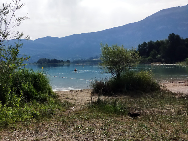 Photograph of the swimming beach at le Curtelet on Lac d'Aiguebelette