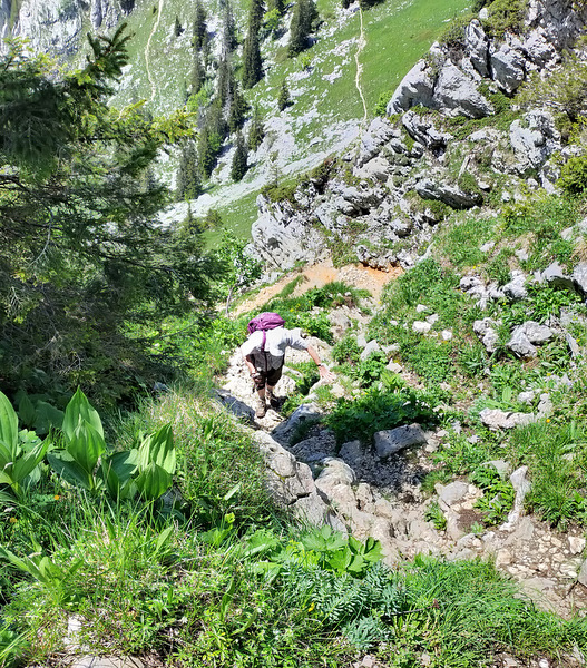 Photograph of the final ascent to the summit