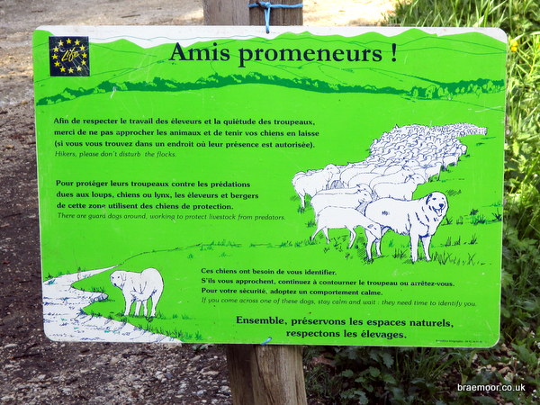 Photograph of a sheep dog warning sign