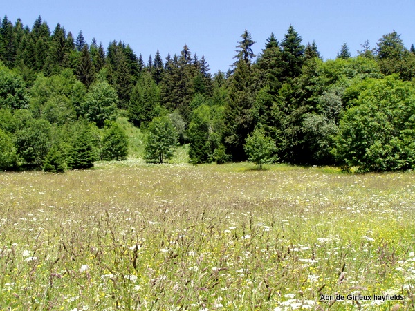Photograph of hay meadows below la Pinéa