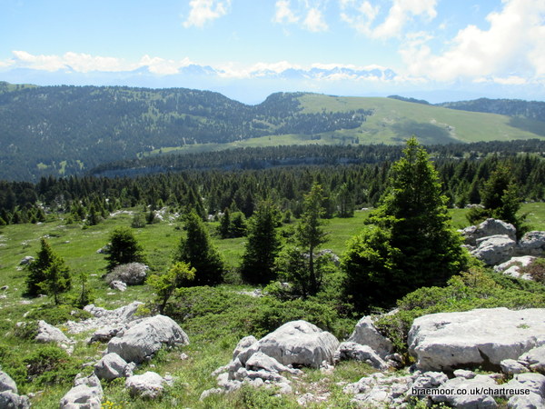 Photograph of the plateau area near the summit of le Pinet