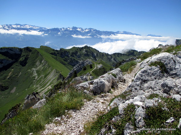 Photograph of the final section of ridge path before the summit of Lance de Malissard Sud