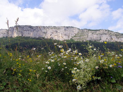 Photograph of the eastern cliffs of Mont Outhéran