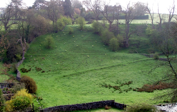 Photograph of the leat feeding the waterwheel at Hebden Horse Level