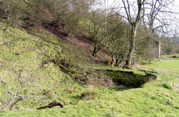Photograph of the water storage pond at Hebden Horse Level