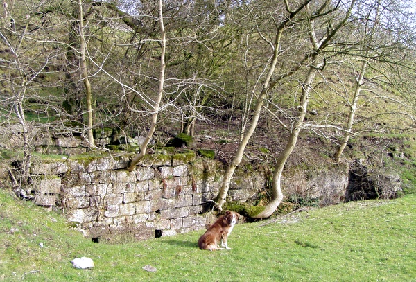Photograph of the waterwheel pit at Hebden Horse Level