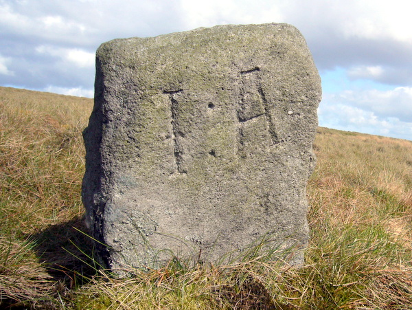 Photograph of meer stone 10 - Grassington Moor