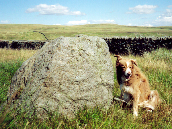 Photograph of meer stone 11 - Grassington Moor