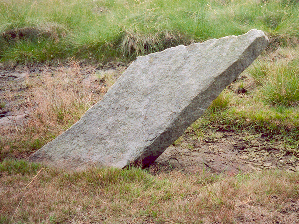 Photograph of meer stone 14 - Grassington Moor