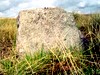 Thumbnail Picture of Meer Stone 19