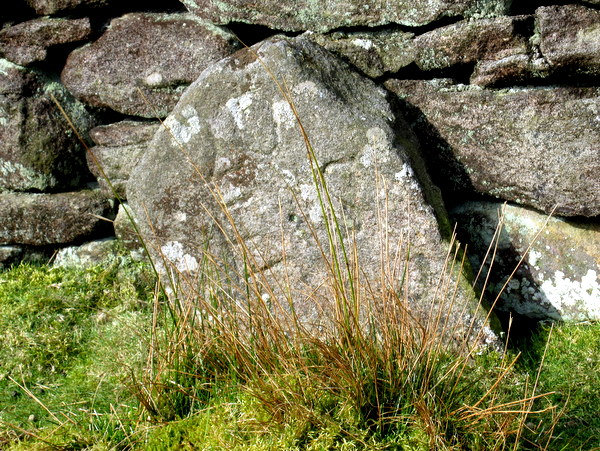 Photograph of meer stone 2 - Grassington Moor