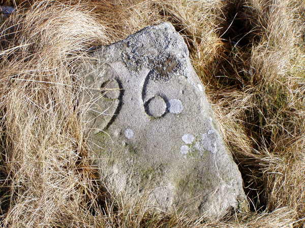 Photograph of meer stone 21 - Grassington Moor