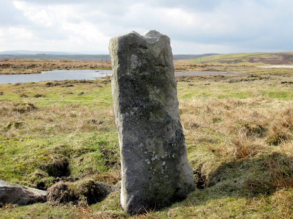 Photograph of meer stone 25 - Grassington Moor