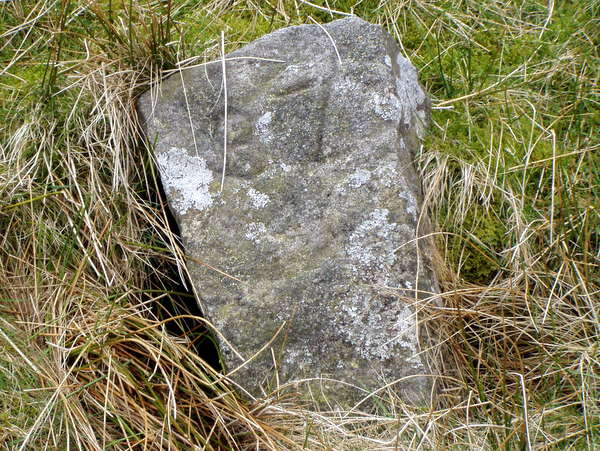 Photograph of meer stone 29 - Grassington Moor