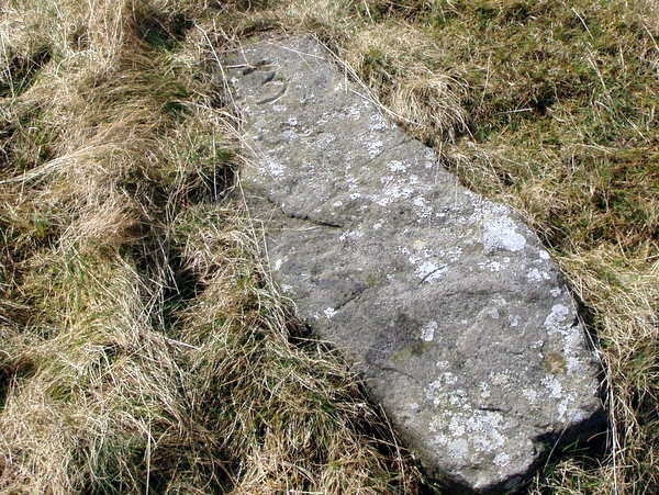 Photograph of meer stone 31 - Grassington Moor