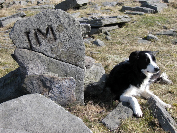 Photograph of meer stone 40 - Grassington Moor