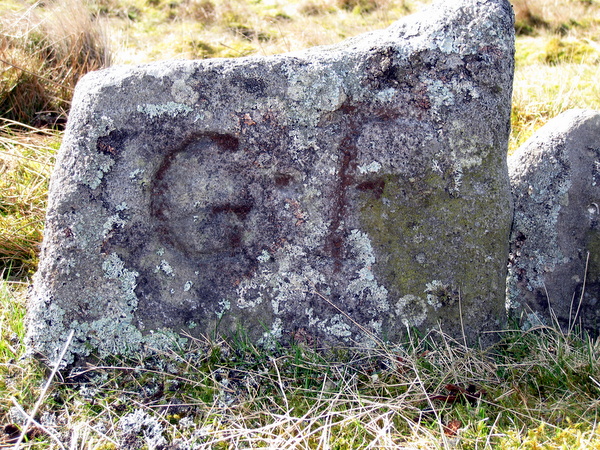 Photograph of meer stone 41 - Grassington Moor