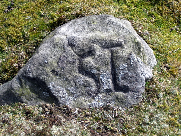 Photograph of meer stone 45 - Grassington Moor