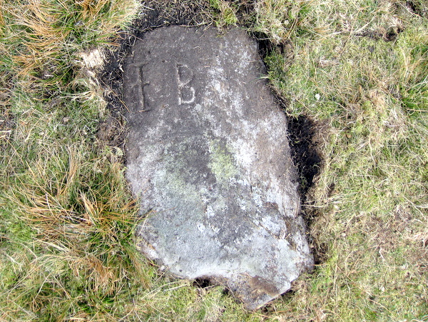 Photograph of meer stone 48 - Grassington Moor
