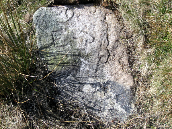 Photograph of meer stone 49 - Grassington Moor