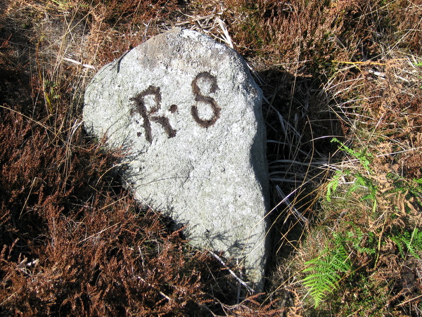 Photograph of meer stone 5 - Grassington Moor