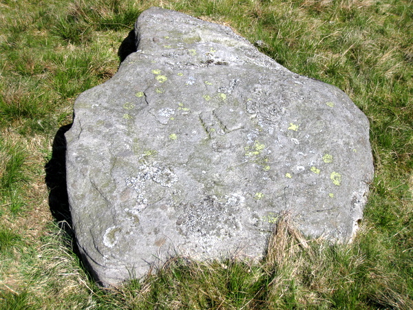 Photograph of meer stone 51 - Grassington Moor