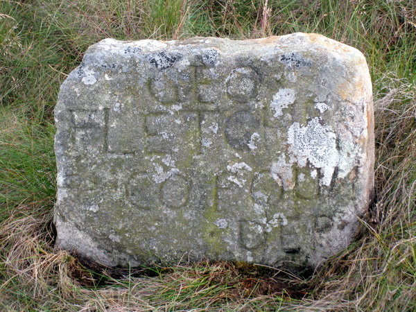 Photograph of meer stone 53 - Grassington Moor