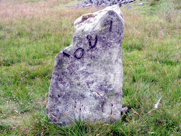 Photograph of meer stone 55 - Grassington Moor