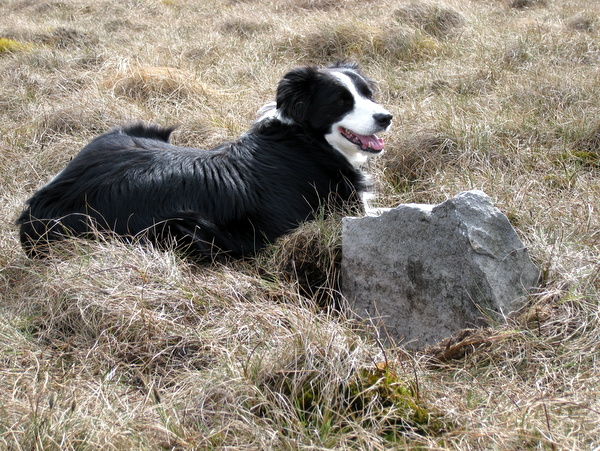 Photograph of meer stone 61 - Grassington Moor