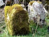 Thumbnail Picture of Meer Stone 66