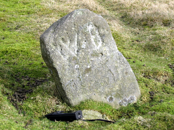 Photograph of meer stone 7 - Grassington Moor
