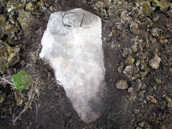 Photograph of meer stone 73 - Grassington Moor