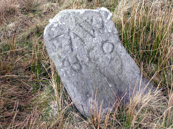 Photograph of meer stone 8 - Grassington Moor